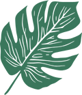 Green leaf illustration on a white background